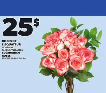 Provigo ROSES DE L'ÉQUATEUR offer