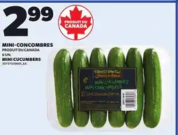 Provigo MINI-CONCOMBRES 6 UN offer