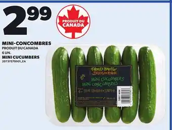 Provigo MINI-CONCOMBRES 6 UN offer