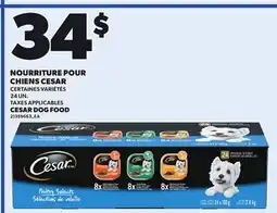 Provigo NOURRITURE POUR CHIENS CESAR 24 UN offer