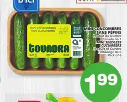 Marches Tradition MINI SEEDLESS CUCUMBERS offer