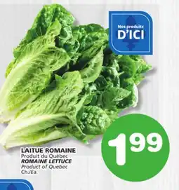 Marches Tradition ROMAINE LETTUCE offer