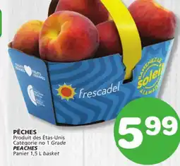 Marches Tradition PEACHES Catégorie no 1 offer