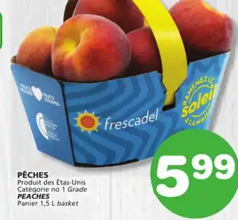 Marches Tradition PEACHES Catégorie no 1 offer