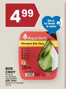 Rachelle-Bery Grocery BOK CHOY offer