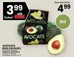 Rachelle-Bery Grocery ORGANIC AVOCADOS offer