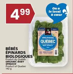Rachelle-Bery Grocery ORGANIC BABY SPINACH offer