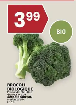 Rachelle-Bery Grocery ORGANIC BROCCOLI offer