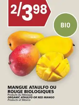 Rachelle-Bery Grocery ORGANIC ATAULFO OR RED MANGO offer