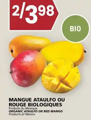 Rachelle-Bery Grocery ORGANIC ATAULFO OR RED MANGO offer