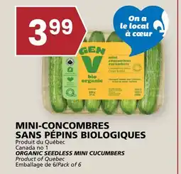 Rachelle-Bery Grocery ORGANIC SEEDLESS MINI CUCUMBERS offer