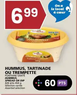 Rachelle-Bery Grocery FONTAINE SANTÉ HUMMUS, SPREAD OR DIP offer