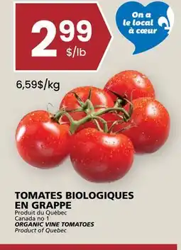 Rachelle-Bery Grocery Canada no 1 ORGANIC VINE TOMATOES offer