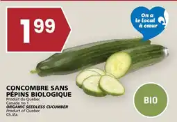 Rachelle-Bery Grocery ORGANIC SEEDLESS CUCUMBER offer