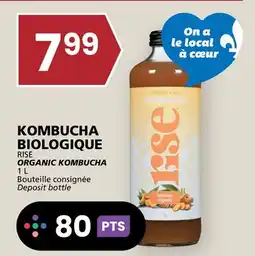 Rachelle-Bery Grocery RISE ORGANIC KOMBUCHA offer