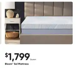 Dormez Vous Bloom Sol Mattress offer