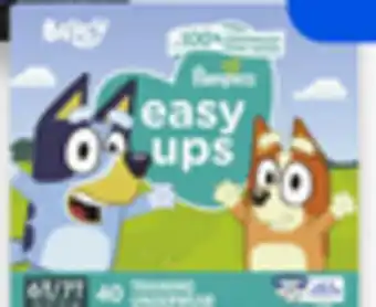 Walmart Pampers Superpack Easy Ups Training Pants or Ninjamas Nighttime Underwear offer