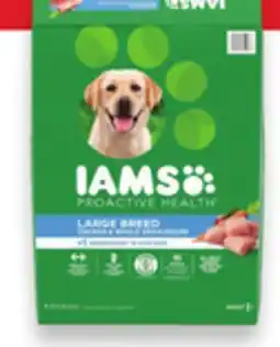 Walmart IAMS Dry Dog Food offer