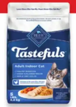 Walmart Blue Buffalo Dry Cat Food offer