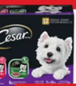 Walmart Cesar Wet Dog Food Variety Pack offer