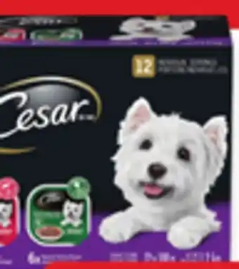 Walmart Cesar Wet Dog Food Variety Pack offer