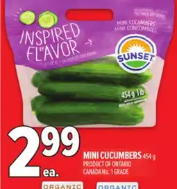 Metro MINI CUCUMBERS offer