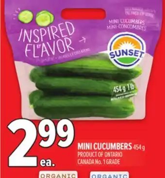 Metro MINI CUCUMBERS offer