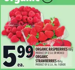 Metro ORGANIC RASPBERRIES, ORGANIC STRAWBERRIES offer