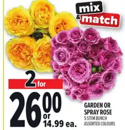 Metro GARDEN OR SPRAY ROSE offer