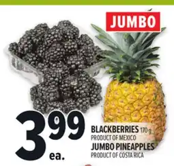Metro BLACKBERRIES, JUMBO PINEAPPLES offer