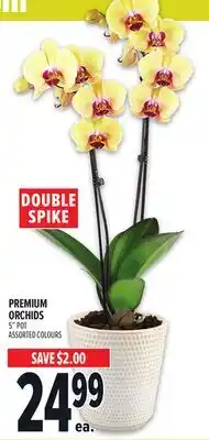 Metro PREMIUM ORCHIDS offer