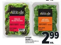 Metro ATTITUDE SALADS offer