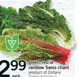 Fortinos GREEN, RED OR RAINBOW SWISS CHARD offer