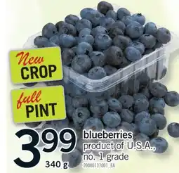 Fortinos BLUEBERRIES, 340 G offer
