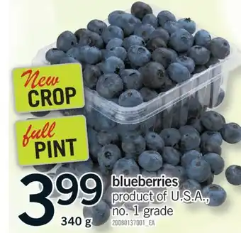 Fortinos BLUEBERRIES, 340 G offer