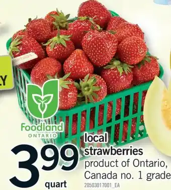 Fortinos STRAWBERRIES, quart offer