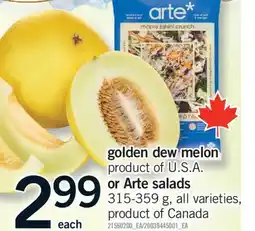 Fortinos GOLDEN DEW MELON OR ARTE SALADS, 315-359 G offer