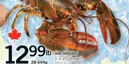 Fortinos LIVE LOBSTER offer