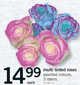 Fortinos MULTI TINTED ROSES, 3 STEMS offer