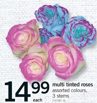 Fortinos MULTI TINTED ROSES, 3 STEMS offer