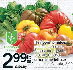 Fortinos HEIRLOOM TOMATOES OR ROMAINE LETTUCE offer