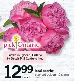 Fortinos LOCAL PEONIES, 5 STEMS offer