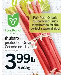 Fortinos RHUBARB offer