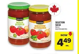 Metro SELECTION SALSA offer