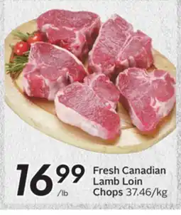 Sobeys Fresh Canadian Lamb Loin Chops offer