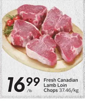 Sobeys Fresh Canadian Lamb Loin Chops offer