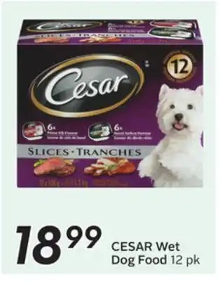 Sobeys CESAR Wet Dog Food offer