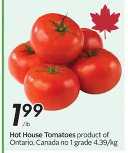 Sobeys Hot House Tomatoes offer