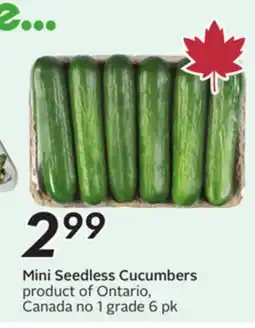 Sobeys Mini Seedless Cucumbers offer