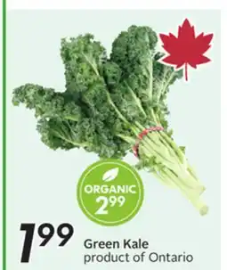 Sobeys Green Kale offer